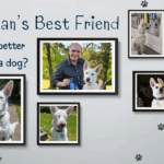 Man's Best Friend, title image with a photo of a man with his dog and several other photos of just the dog.