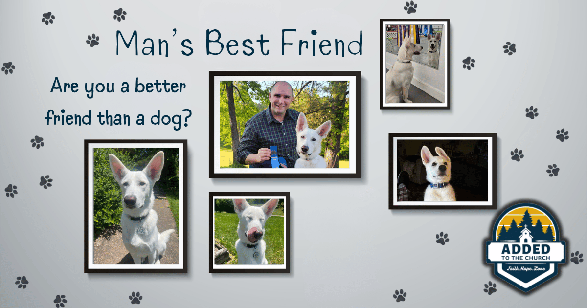 Man's Best Friend, title image with a photo of a man with his dog and several other photos of just the dog.